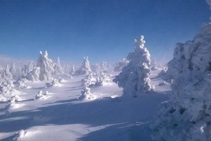 El fred, la boira i la neu...l'hivern ja és aquí!