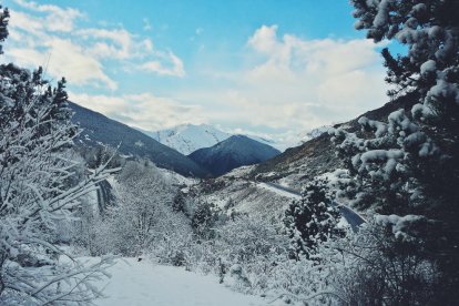 El fred, la boira i la neu...l'hivern ja és aquí!
