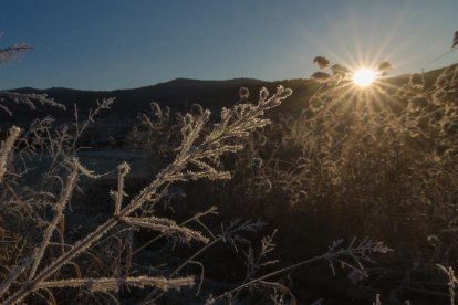 El fred, la boira i la neu...l'hivern ja és aquí!