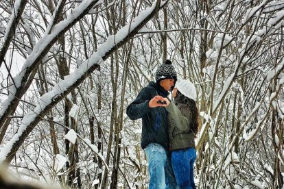 El fred, la boira i la neu...l'hivern ja és aquí!