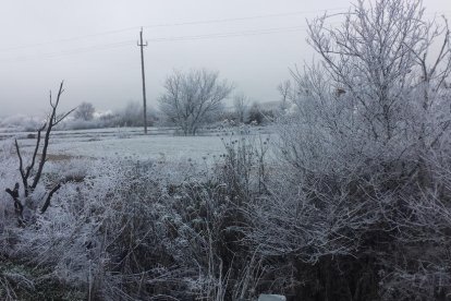 El fred, la boira i la neu...l'hivern ja és aquí!