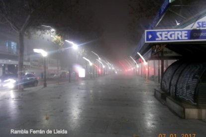 El fred, la boira i la neu...l'hivern ja és aquí!
