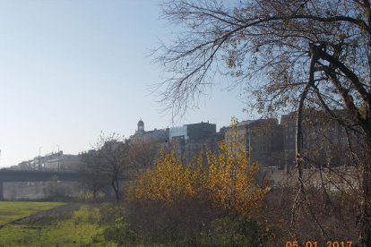 El fred, la boira i la neu...l'hivern ja és aquí!