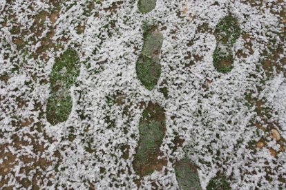 El fred, la boira i la neu...l'hivern ja és aquí!