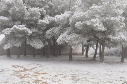 El fred, la boira i la neu...l'hivern ja és aquí!