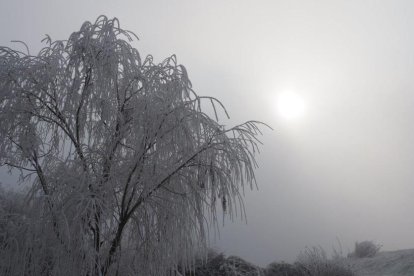 El fred, la boira i la neu...l'hivern ja és aquí!