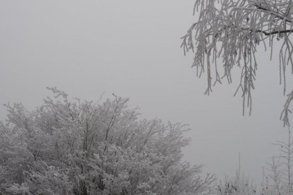 El fred, la boira i la neu...l'hivern ja és aquí!