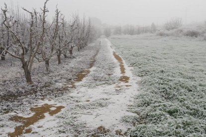 El fred, la boira i la neu...l'hivern ja és aquí!