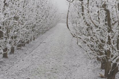 El fred, la boira i la neu...l'hivern ja és aquí!