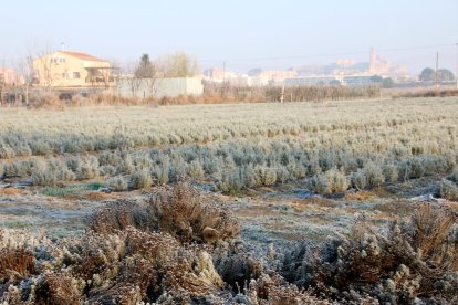 El fred, la boira i la neu...l'hivern ja és aquí!