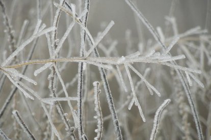El fred, la boira i la neu...l'hivern ja és aquí!
