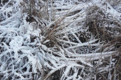 El fred, la boira i la neu...l'hivern ja és aquí!