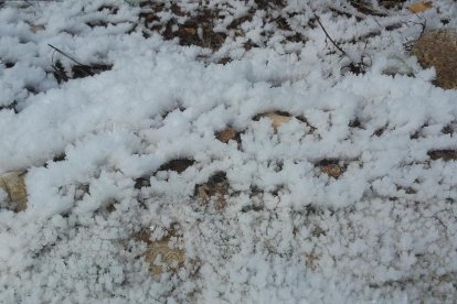El fred, la boira i la neu...l'hivern ja és aquí!