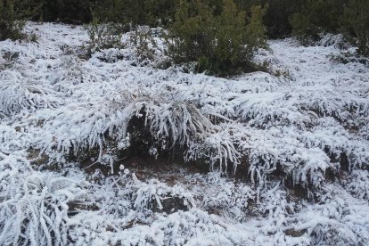 El fred, la boira i la neu...l'hivern ja és aquí!