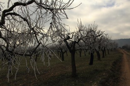 El fred, la boira i la neu...l'hivern ja és aquí!