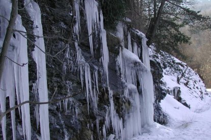 El fred, la boira i la neu...l'hivern ja és aquí!