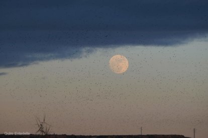 El fred, la boira i la neu...l'hivern ja és aquí!