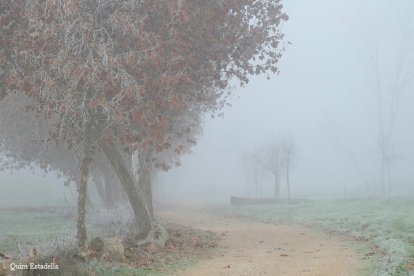 El fred, la boira i la neu...l'hivern ja és aquí!