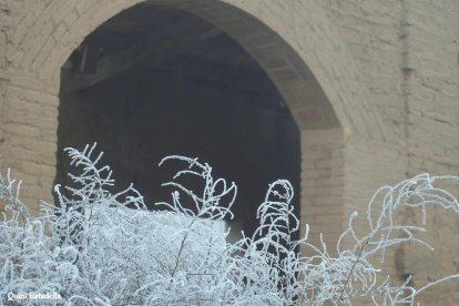 El fred, la boira i la neu...l'hivern ja és aquí!