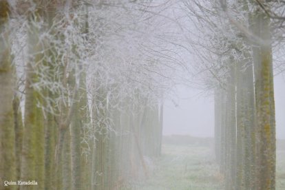 El fred, la boira i la neu...l'hivern ja és aquí!