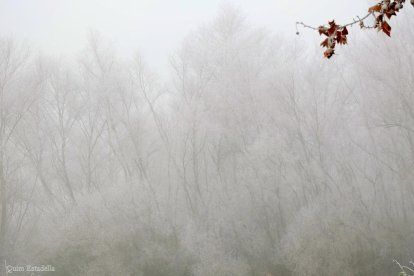 El fred, la boira i la neu...l'hivern ja és aquí!