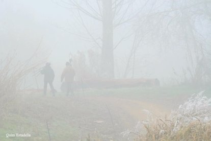 El fred, la boira i la neu...l'hivern ja és aquí!