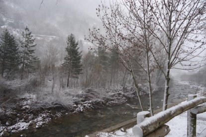 El fred, la boira i la neu...l'hivern ja és aquí!