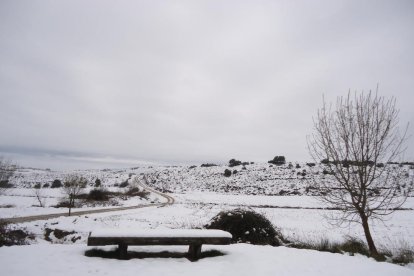 El fred, la boira i la neu...l'hivern ja és aquí!