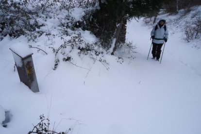 El fred, la boira i la neu...l'hivern ja és aquí!
