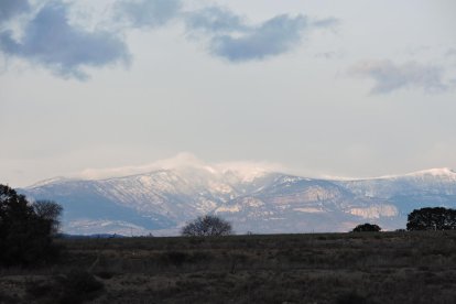 El fred, la boira i la neu...l'hivern ja és aquí!
