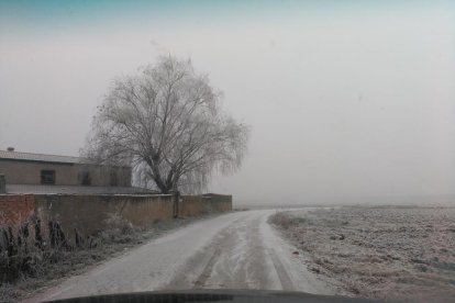 El fred, la boira i la neu...l'hivern ja és aquí!