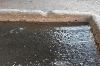 El fred, la boira i la neu...l'hivern ja és aquí!