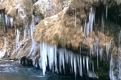 El fred, la boira i la neu...l'hivern ja és aquí!