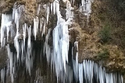 El fred, la boira i la neu...l'hivern ja és aquí!