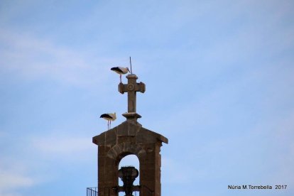 El fred, la boira i la neu...l'hivern ja és aquí!