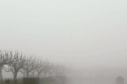 El fred, la boira i la neu...l'hivern ja és aquí!