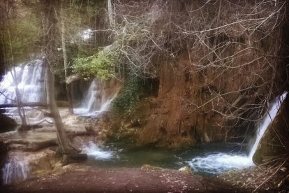 El fred, la boira i la neu...l'hivern ja és aquí!