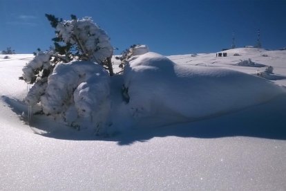 El fred, la boira i la neu...l'hivern ja és aquí!
