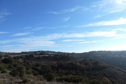 El fred, la boira i la neu...l'hivern ja és aquí!