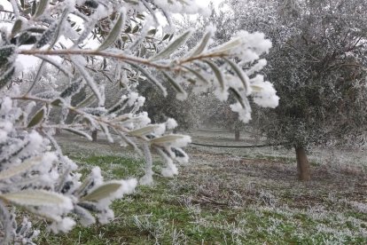 El fred, la boira i la neu...l'hivern ja és aquí!