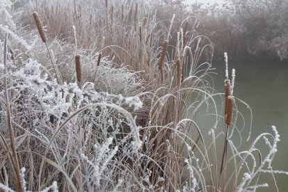 El fred, la boira i la neu...l'hivern ja és aquí!
