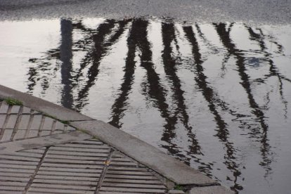 El fred, la boira i la neu...l'hivern ja és aquí!