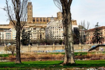 El fred, la boira i la neu...l'hivern ja és aquí!