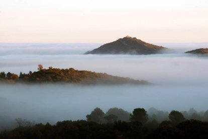 E. Aldana / O. Mirón / M. Altisent