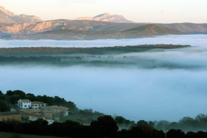 E. Aldana / O. Mirón / M. Altisent