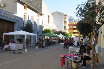 Rovellons, ceps, fredolics,...envia'ns fotos de la teva sortida al bosc.
