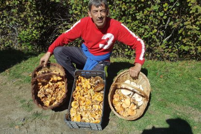 Rovellons, ceps, fredolics,...envia'ns fotos de la teva sortida al bosc.