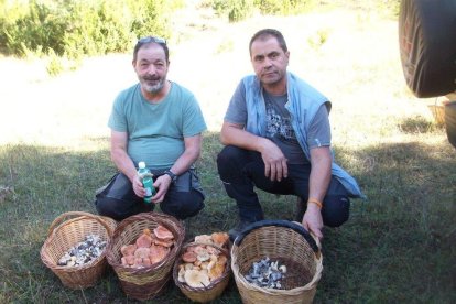 Rovellons, ceps, fredolics,...envia'ns fotos de la teva sortida al bosc.