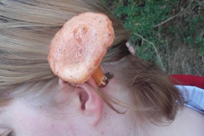 Rovellons, ceps, fredolics,...envia'ns fotos de la teva sortida al bosc.