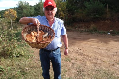 Rovellons, ceps, fredolics,...envia'ns fotos de la teva sortida al bosc.